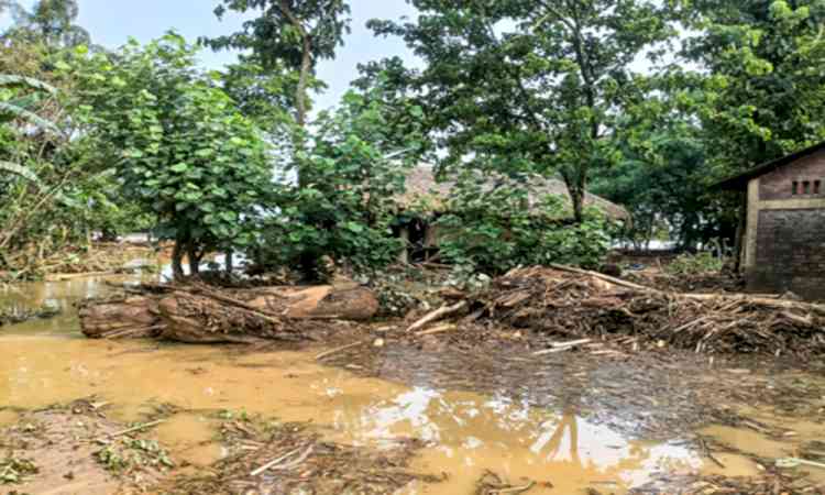 Sudden surge of upstream floodwaters devastated villages: Assam CM