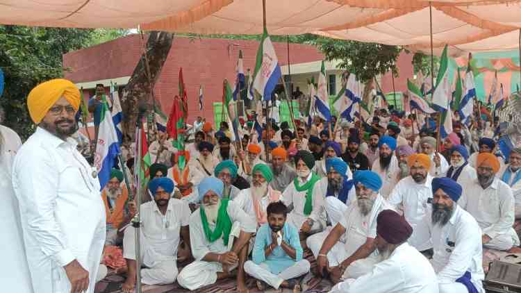 Hundreds of farmers stage dharna outside PSPCL Office, demand better power supply