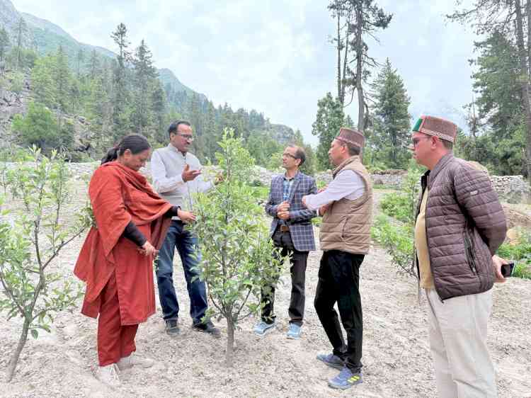 ICAR ATARI Reviews KVK Kinnaur Activities, Emphasizes Demonstration-Based Technology Transfer