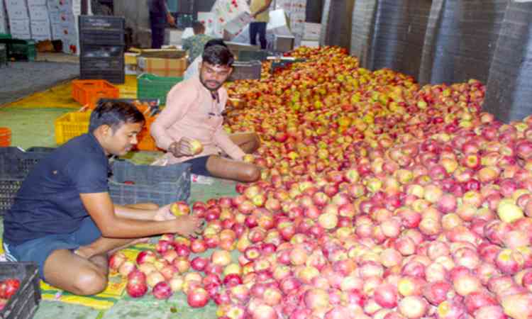 Eight more traditional products of Himachal get GI tag