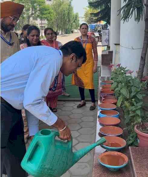 CT Group Promotes Environmental Awareness Through Bird Feeder and Water Pot Initiative