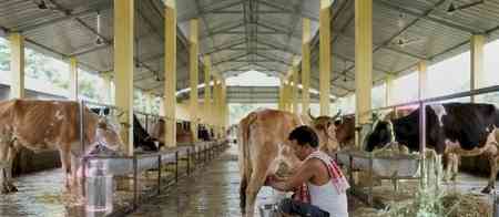 Assam targets 10 lakh litres of daily milk production to boost dairy sector