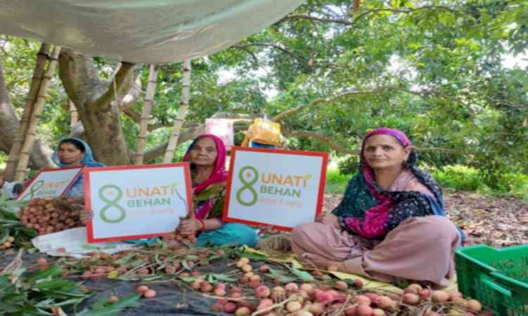 Punjab's litchi exported to Oman for 1st time: Piyush Goyal