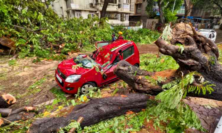 Mumbai rain fury: BMC on alert after record 380mm rainfall, special meet on July 9