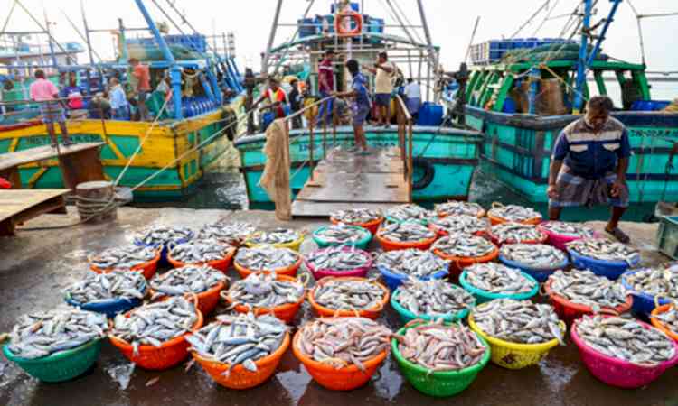 Centre rolls out roadmap to boost seafood exports under TEPA