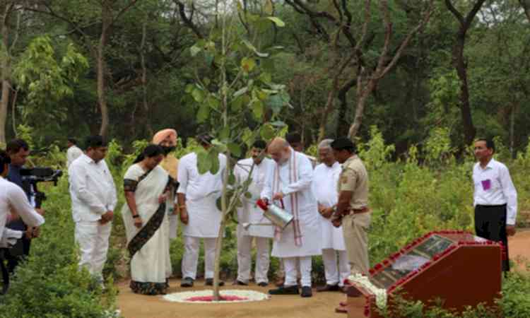 HM Amit Shah kicks off Delhi's 70 lakh tree plantation drive