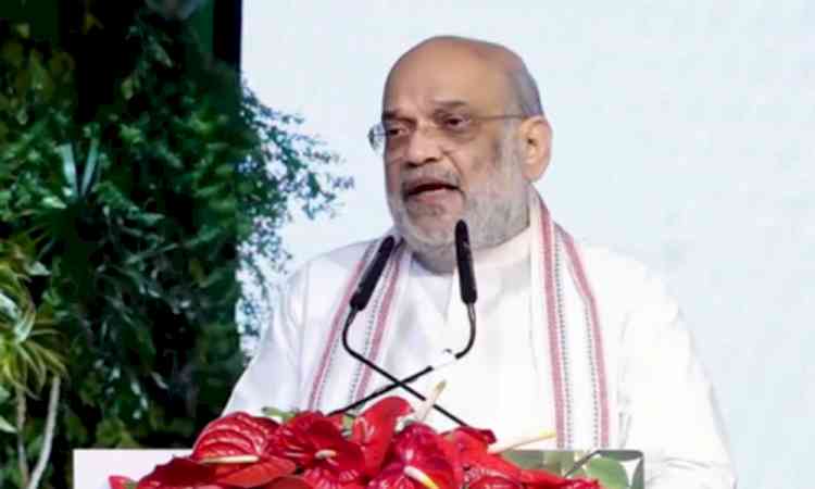HM Shah hails Delhi's plantation drive, says Ridge will be transformed into city's 'green lungs'