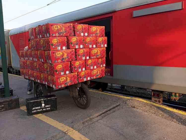 Punjab emerges as key rail-based fruit transport hub, Ferozpur Division sets new records in perishable cargo movement