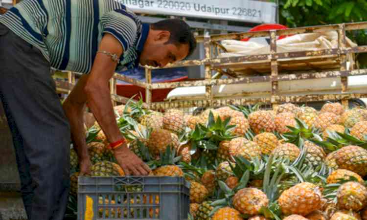 Meghalaya to showcase premium pineapples at Delhi festival