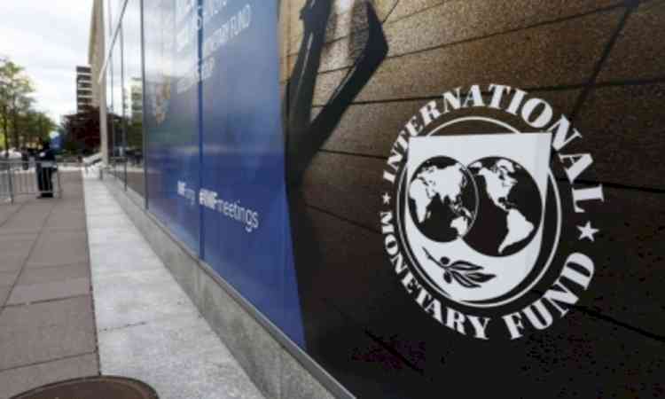 Global economy resilient despite war: IMF