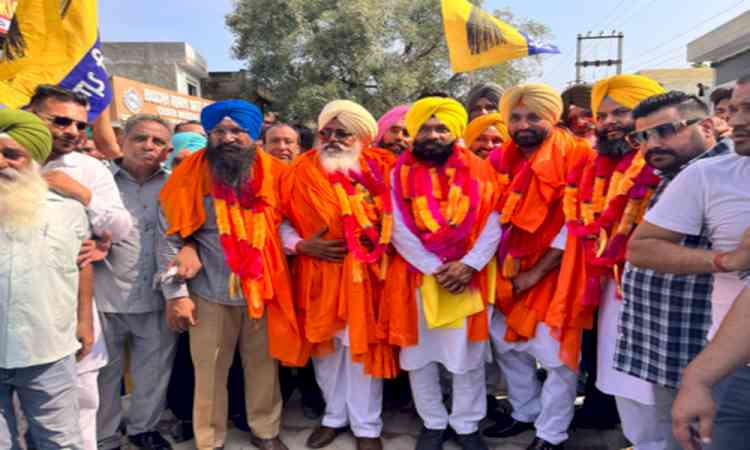 Punjab: AAP secures win in Abohar, Morinda civic bodies; BJP, Congress smell foul play