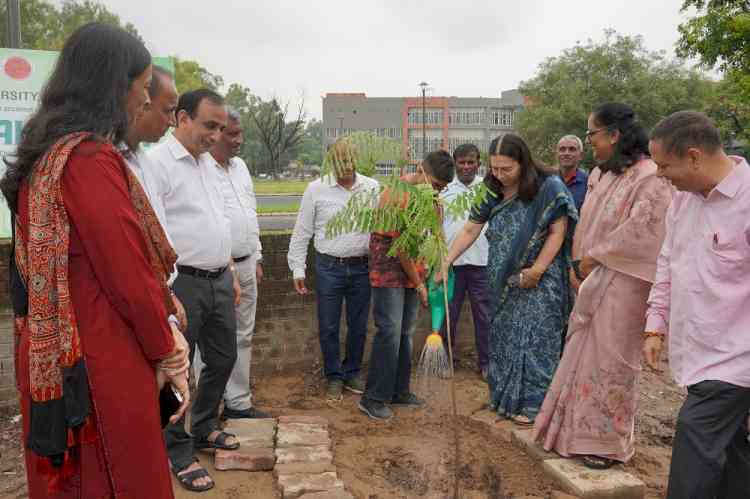 PU Celebrates Van Mahotsav With Plantation Drive