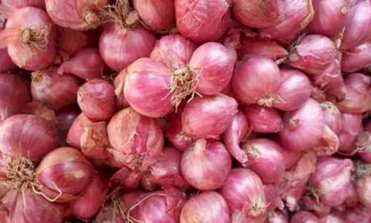 Onion prices jump in Chennai as Maharashtra supply drops, traders warn of further rise