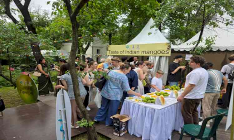 Indian mangoes to arrive in Russian stores, Embassy organises festival