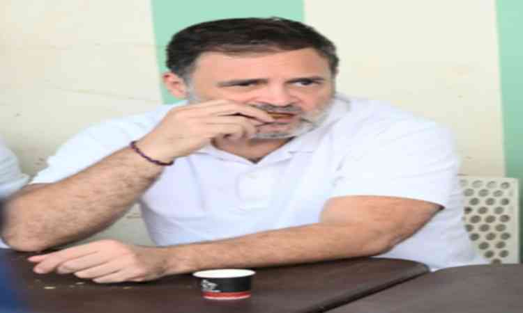 Where’s Rahul Gandhi? On familiar routine: launch, vanish, repeat