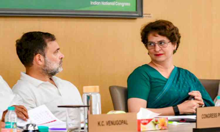 BJP hits out at Gandhis over Wayanad, says 'empathy measured by standing with people and not showing up before polls'