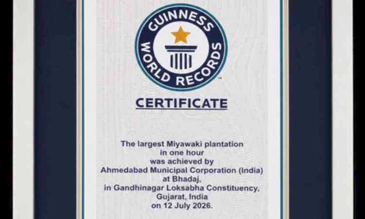 Gujarat: Ahmedabad sets Guinness World Record with 3.61 lakh-tree Miyawaki plantation in one hour