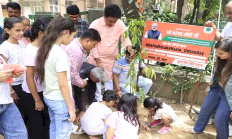 Delhi: NDMC V-C Kuljeet Singh Chahal leads plantation drive in Gole Market