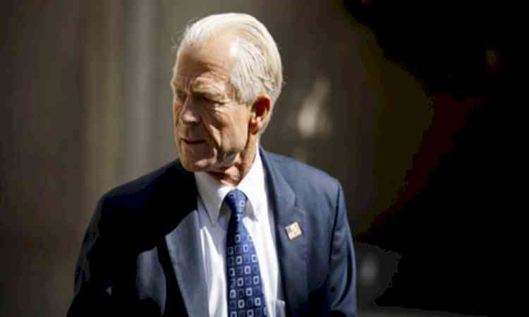 Trump official Peter Navarro urges election overhaul
