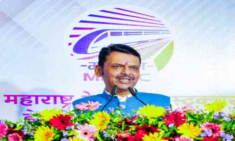 Maha govt launches medical boards for passive euthanasia in private hospitals