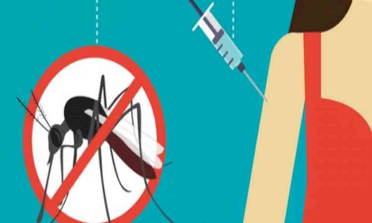 India approves first dengue vaccine QDENGA for people aged 4-60 years