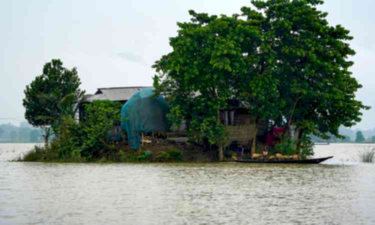 Assam flood: Ministers review flood situation in upper districts as rescue operations intensify