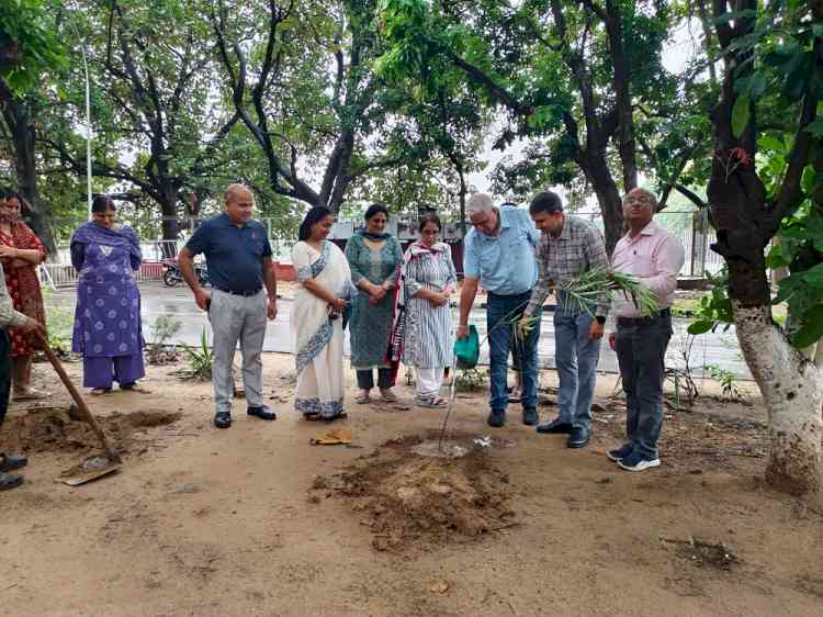 Panjab University Zoology Department Organises Plantation Drive in Collaboration with Horticulture Division