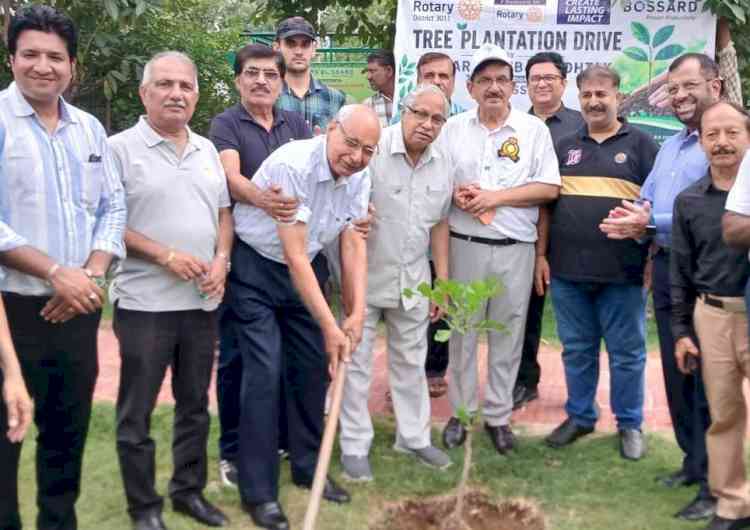 पौधरोपण अभियान के तहत लगाए 132 पौधे