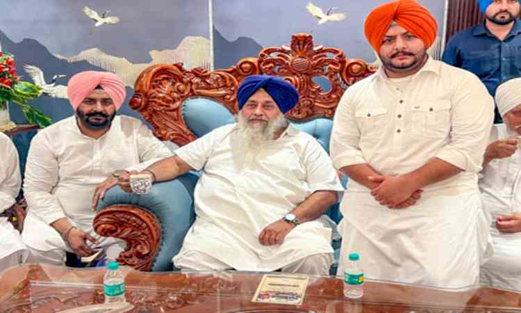 Punjab: Akali Dal chief slams Delhi L-G for imposing NSA