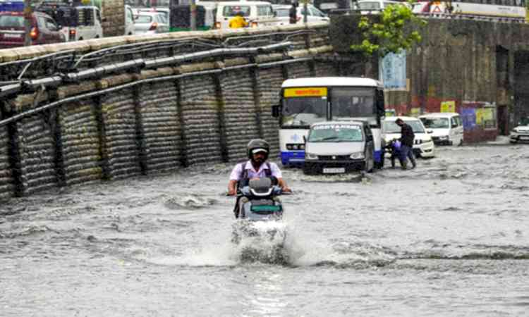 Rajasthan: Heavy rain floods Makkasar village in Hanumangarh
