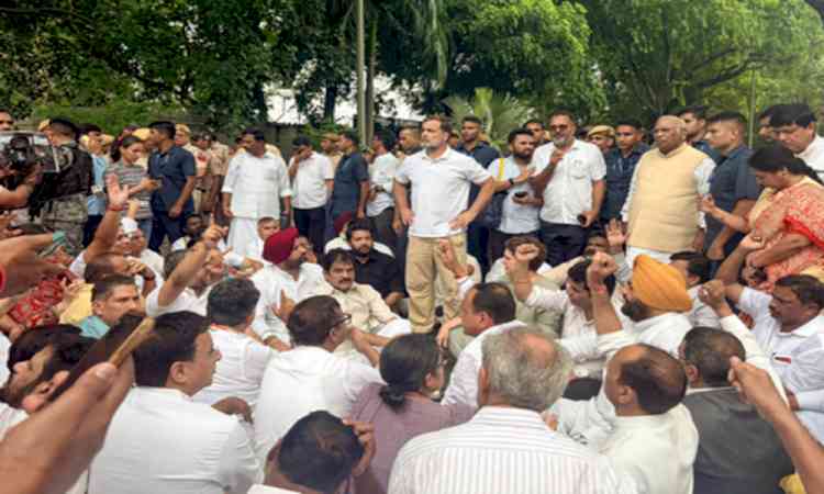 Advocates across India urge SC to take suo motu cognisance of Rahul Gandhi's protest near PM residence