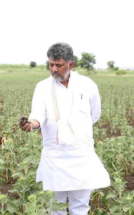 Cabinet expansion next week, protesting farmers in Bidadi won't be harassed: K'taka CM Shivakumar