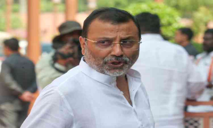 'Should be held accountable', BJP MP seeks probe into LoP Rahul's foreign visits