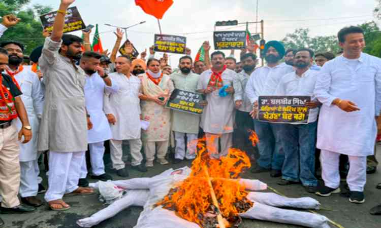 Punjab BJP seeks justice for sanitation workers, submits memo to Governor