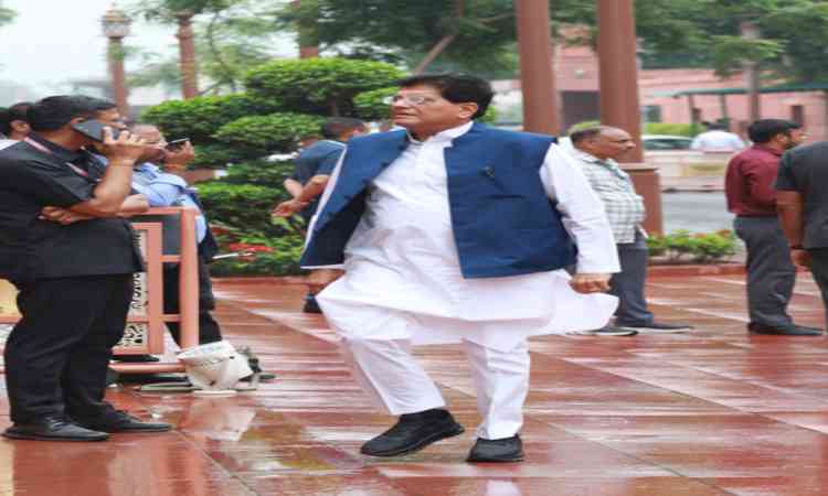 Piyush Goyal announces task force to support toy sector