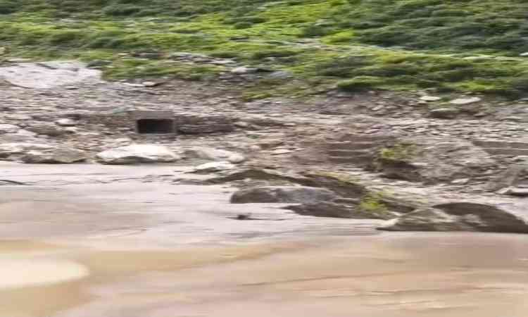 Char Dham Yatra suspended amid heavy rainfall, landslides in Uttarakhand