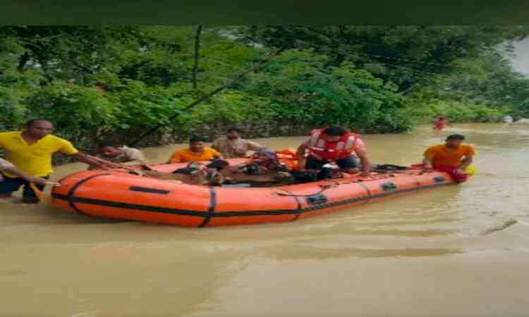 Odisha flood crisis: Multi-department response intensified in affected districts