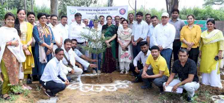 राजकीय महाविद्यालय,सांपला में एक पेड़ माँ के नाम अभियान के तहत लगाए 250 पौधे