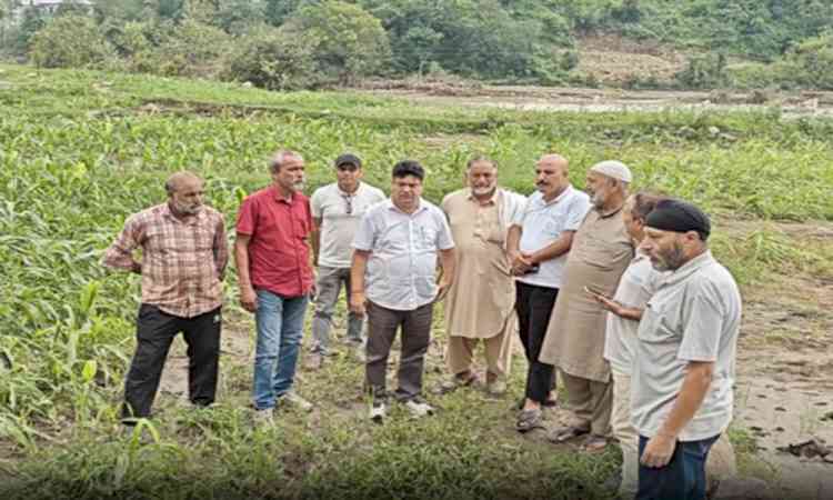 J&K: Agri Dept begins crop loss assessment in Rajouri, farmers’ compensation soon 