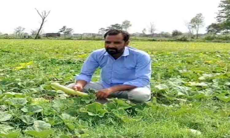 'Govt working towards our welfare': Farmers on Cabinet's decision to continue PM-KISAN scheme