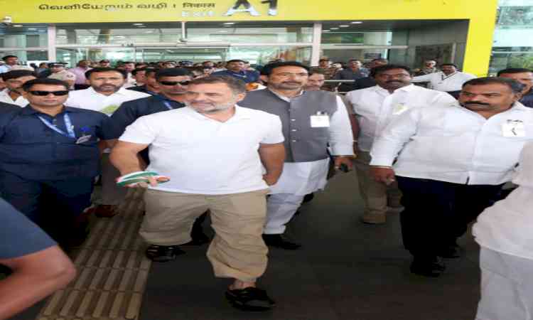 Environmentalists urge LoP Gandhi to show same commitment to Karnataka's ecology as Great Nicobar
