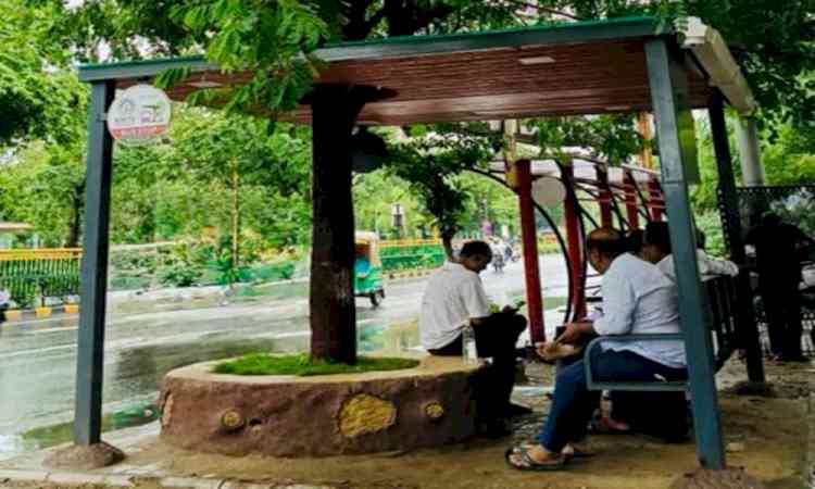 Gujarat: First tree-integrated green bus shelter opens in Ahmedabad