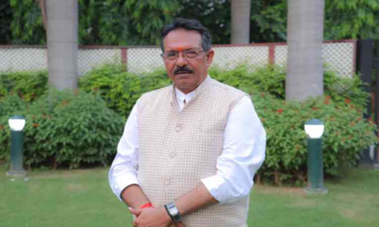 Delhi BJP chief slams Kejriwal over E20 remarks, questions his IIT degree