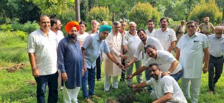 Manoranjan Kalia Appeals to People to Plant at Least One Fruit-Bearing Sapling During Van Mahotsav