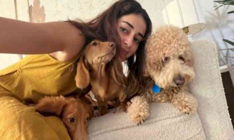 Ananya Panday spends Friendship Day with her fur buddies: Need somebody to lean on
