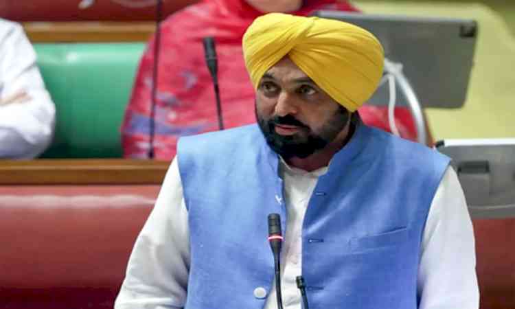 HC directs Punjab govt to clear DA dues within 15 days, restrains it from undertaking large-scale ad campaign