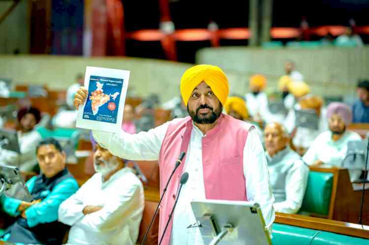 Punjab Govt Stands With Gen Z; Vidhan Sabha Raises Issue of Atrocities Against Youth