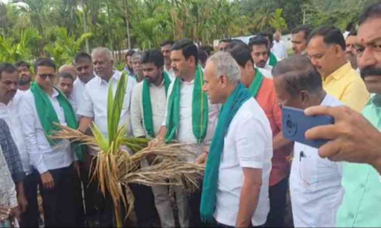Over 28 districts facing severe drought, release Rs 10,000 crore relief: K'taka BJP to Cong govt