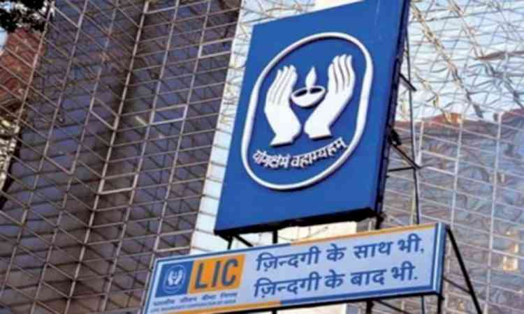 LIC shares tumble 8 pc as govt to sell 6.5 pc stake via Rs 31,000 crore OFS