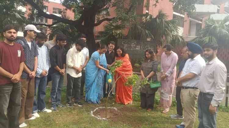 Panjab University Organises Plantation Drive in Boys Hostel No. 6